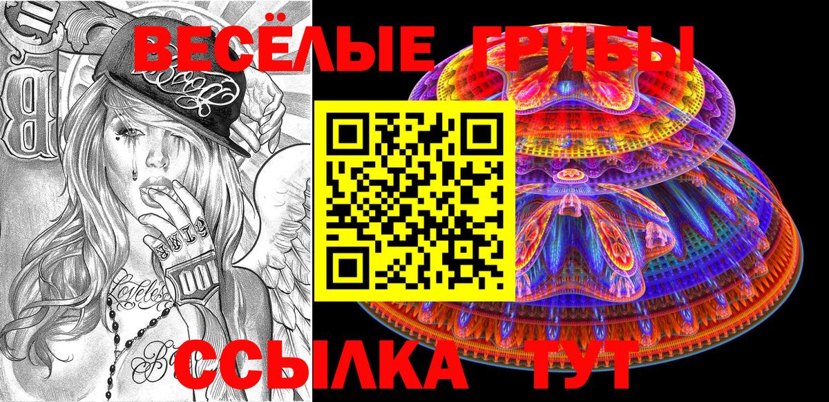 Усть-Джегута  Псилоцибиновые грибы MAGIC MUSHROOMS  Псилоцибиновые грибы мухоморы  Вход с VPN 